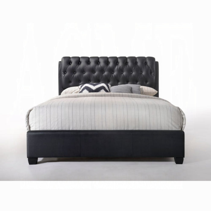 ACME Ireland II EK Bed - Bed & Sofa Hub