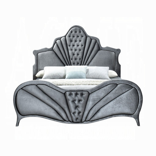 ACME Dante Queen Bed - Bed & Sofa Hub