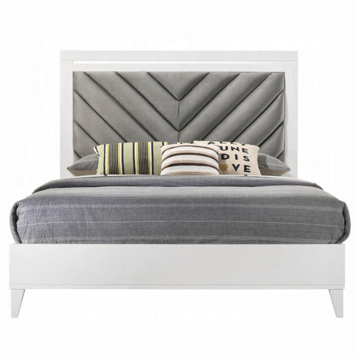 ACME Chelsie Queen Bed - Bed & Sofa Hub