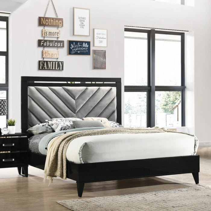 ACME Chelsie Queen Bed - Bed & Sofa Hub