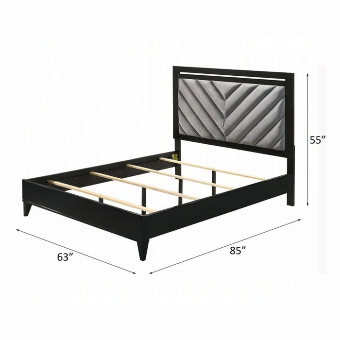 ACME Chelsie Queen Bed - Bed & Sofa Hub