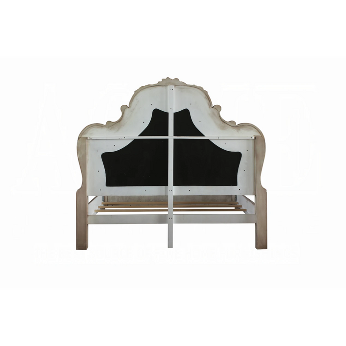 ACME Dresden CK Bed - Bed & Sofa Hub