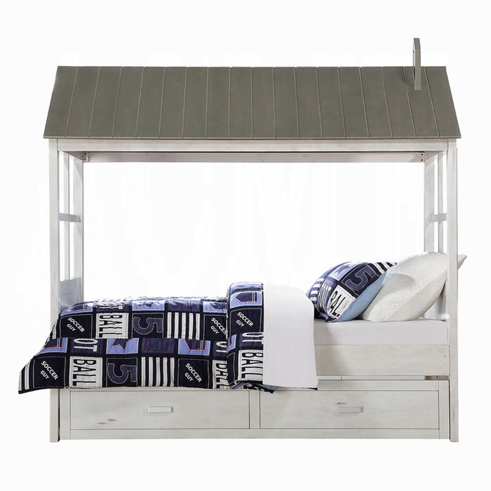 ACME Tree House II Twin Bed - Bed & Sofa Hub