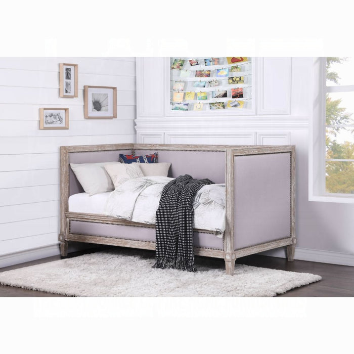 ACME Charlton Daybed (Twin) - Bed & Sofa Hub