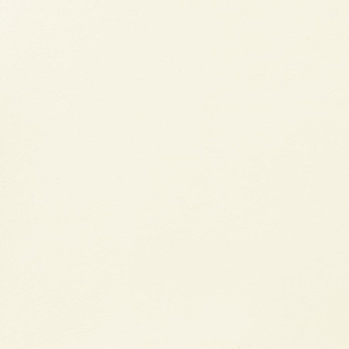 Coaster Chaviano 4-piece Upholstered Track Arm Sofa Living Room Set Pearl White - Bed & Sofa Hub