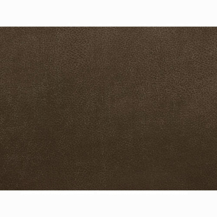 ACME Aashi Motion Sofa - Bed & Sofa Hub