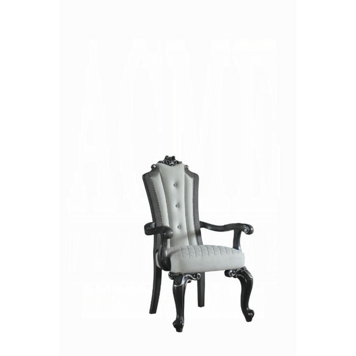 ACME House Delphine Arm Chair (Set-2)