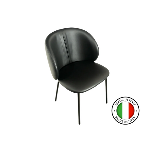 Maxima House Dining Chair Mansueto, Set of 2 - Bed & Sofa Hub