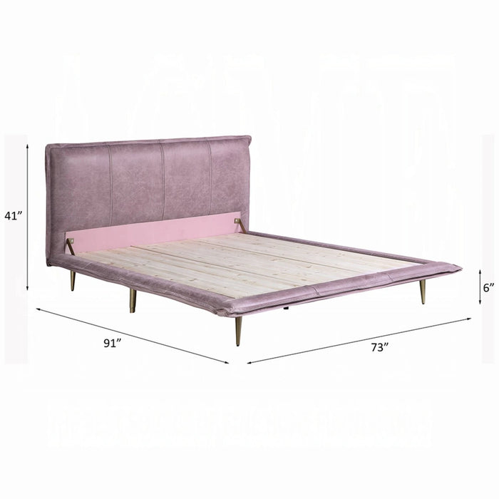 ACME Metis Queen Bed - Bed & Sofa Hub