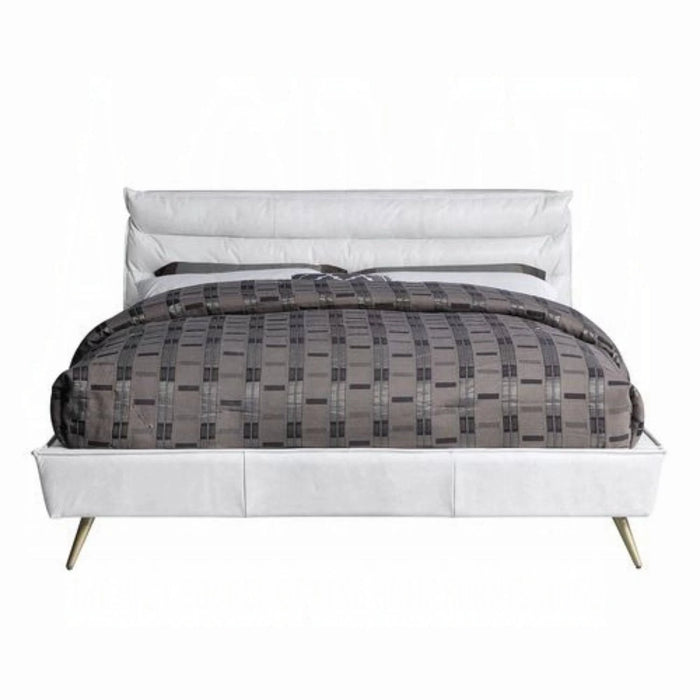 ACME Doris Queen Bed - Bed & Sofa Hub