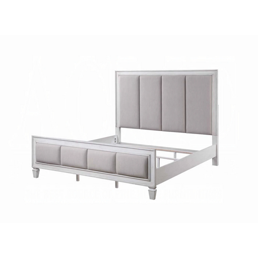 ACME Katia CK Bed - Bed & Sofa Hub