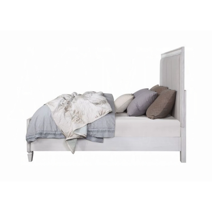 ACME Katia Queen Bed - Bed & Sofa Hub