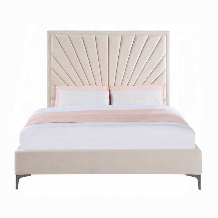 ACME Faiz Queen Bed - Bed & Sofa Hub