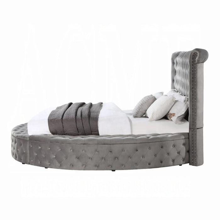 ACME Gaiva Queen Bed W/Storage - Bed & Sofa Hub