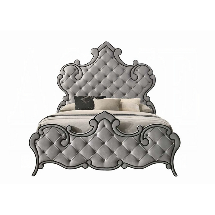 ACME Perine Queen Bed - Bed & Sofa Hub