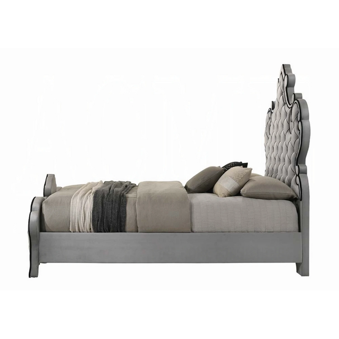 ACME Perine Queen Bed - Bed & Sofa Hub