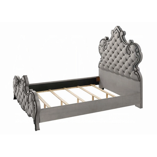 ACME Perine Queen Bed - Bed & Sofa Hub