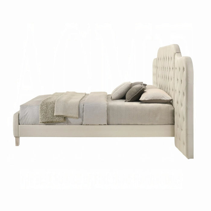 ACME Ranallo Queen Wall Bed - Bed & Sofa Hub
