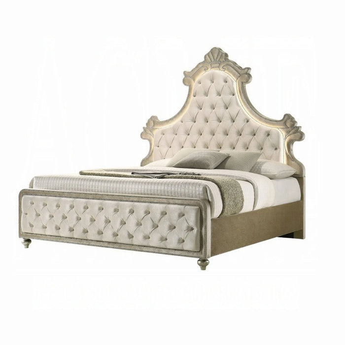 ACME Lucienne EK Bed W/Led - Bed & Sofa Hub