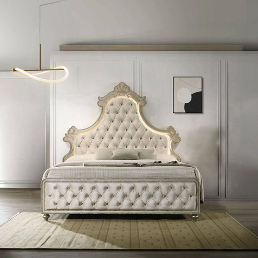 ACME Lucienne Queen Bed W/LED - Bed & Sofa Hub