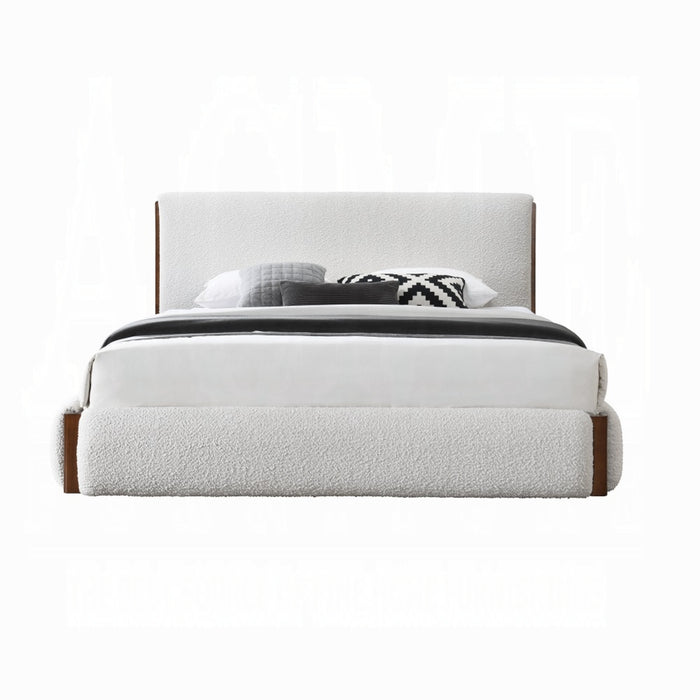 ACME Sandro Queen Bed - Bed & Sofa Hub
