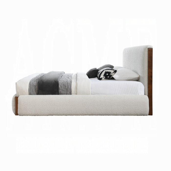 ACME Sandro Queen Bed - Bed & Sofa Hub