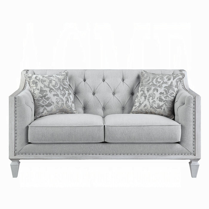 ACME Katia Loveseat W/2 Pillows - Bed & Sofa Hub