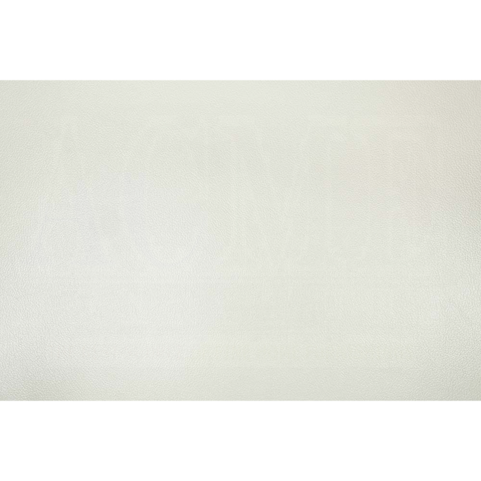 ACME Adara Chair W/2 Pillows - Bed & Sofa Hub