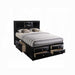 ACME Ireland EK Bed W/Storage - Bed & Sofa Hub