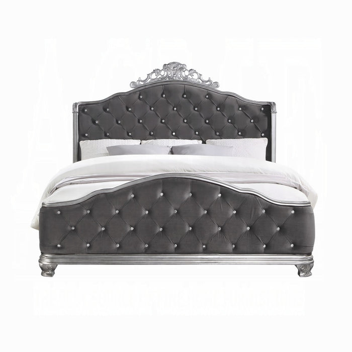 ACME Leonora CK Bed - Bed & Sofa Hub