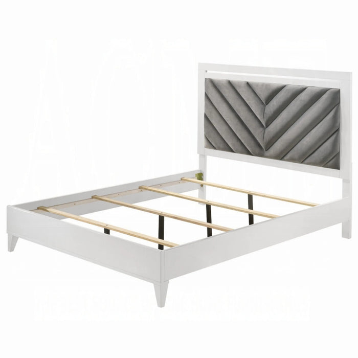 ACME Chelsie Queen Bed - Bed & Sofa Hub
