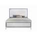 ACME Haiden Queen Bed W/Led - Bed & Sofa Hub