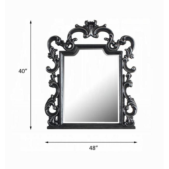 ACME House Delphine Mirror - Bed & Sofa Hub