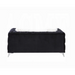 ACME Phifina Loveseat W/2 Pillows - Bed & Sofa Hub