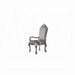 ACME Dresden Arm Chair (Set-2) - Bed & Sofa Hub