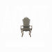 ACME Dresden Arm Chair (Set-2) - Bed & Sofa Hub