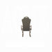 ACME Dresden Arm Chair (Set-2) - Bed & Sofa Hub