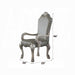 ACME Dresden Arm Chair (Set-2) - Bed & Sofa Hub