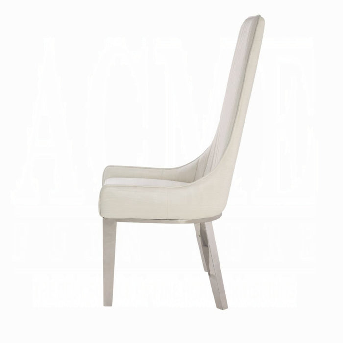 ACME Gianna Side Chair (Set-2) - Bed & Sofa Hub