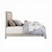 ACME Sliverfluff Queen Bed W/Led & Storage - Bed & Sofa Hub