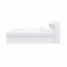 ACME Perse Queen Bed W/Storage - Bed & Sofa Hub