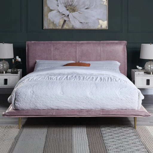ACME Metis Queen Bed - Bed & Sofa Hub