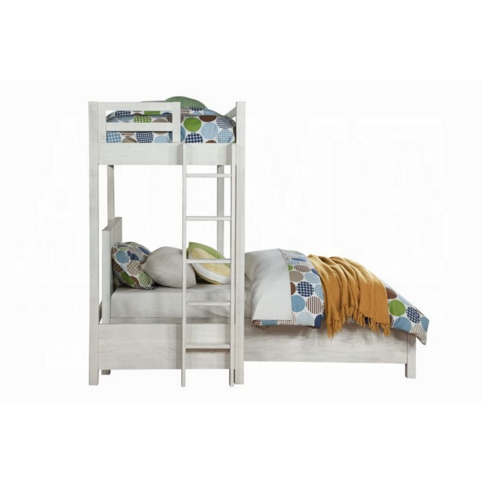 ACME Celerina Queeen Bed - Bed & Sofa Hub
