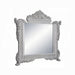 ACME Valkyrie Mirror - Bed & Sofa Hub