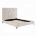 ACME Faiz Queen Bed - Bed & Sofa Hub