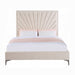 ACME Faiz Queen Bed - Bed & Sofa Hub