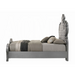 ACME Perine Queen Bed - Bed & Sofa Hub