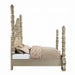 ACME Danae EK Bed - Bed & Sofa Hub