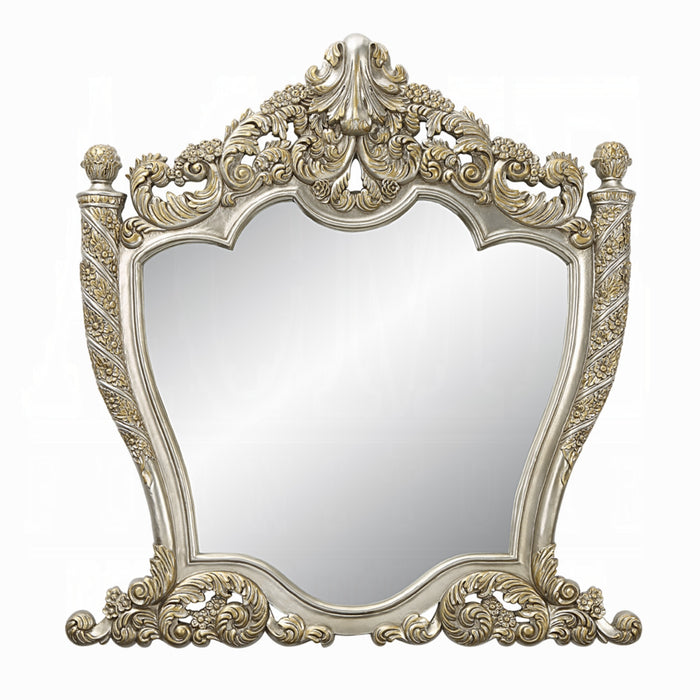 ACME Danae Mirror - Bed & Sofa Hub