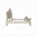 ACME Dresden Queen Bed - Bed & Sofa Hub